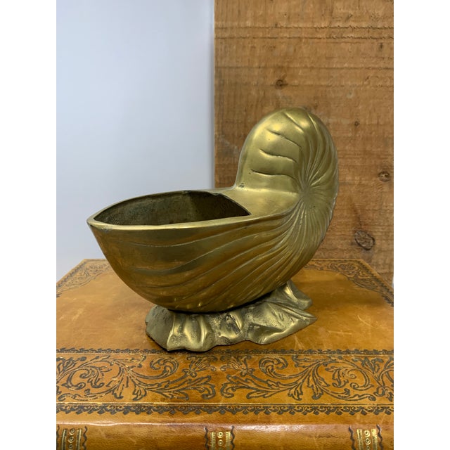 Brass Nautilus Shell Cachepot