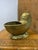 Brass Nautilus Shell Cachepot