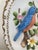 American Vintage Raised Relief Porcelain Bird Wall Plaque With Floral Motif For Sale - Image 3 of 11