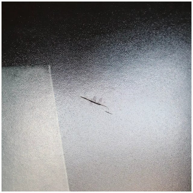 Salamone Award winning photograph. TITLE Escuela Normal Rural Detalle 4 FRAMING Unframed MAKER Jorge Bagnuoli (Uruguayan,...