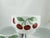 Mid-Century Modern 1970s Richard Ginori Italy Cherries Serving Bowl Set - Set of 8 For Sale - Image 3 of 6