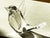 Glass 1960s Kosta Boda Crystal Bird For Sale - Image 7 of 10