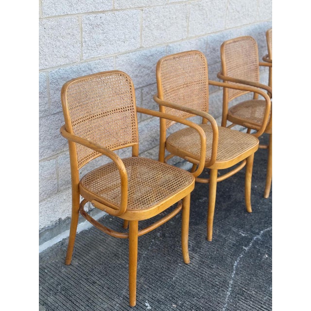 Mid-Century Modern A Set of Four Mid Century Thonet Style Bentwood Prague Chairs Chairs For Sale - Image 3 of 11