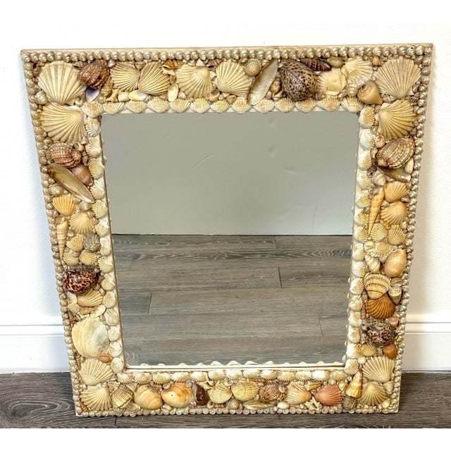 1960s Coastal Bohemian Specimen Shell Encrusted Mirror with Tiger Cowries For Sale - Image 11 of 14