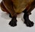 Large 19th Century English Cold-Painted Terracotta Bulldog Figure With Glass Eyes For Sale - Image 11 of 17