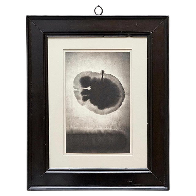 Mouth of Krishna 110 Print by Albarran & Cabrera, 2013 For Sale