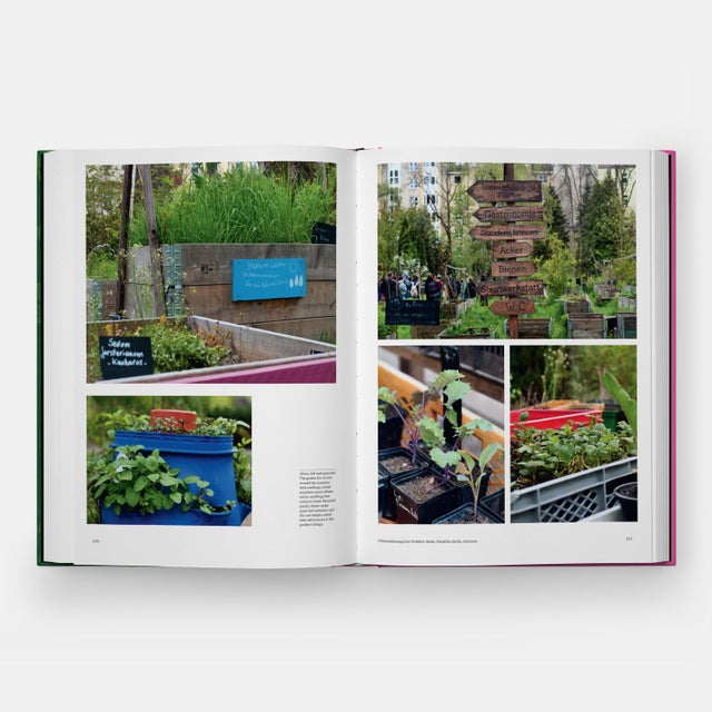 The Kitchen Garden For Sale - Image 9 of 13