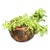 Large 14" Antique French Repoussé Copper Jardinière, 19th Century Alliance Coat of Arms Cachepot, Lion Head Handles, French Planter For Sale