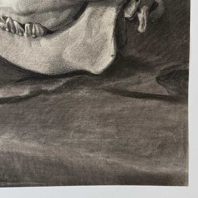 1900 - 1909 Vintage Italian Realist Still Life of a Cow Skull, Signed (Charcoal on Wove Paper) For Sale - Image 5 of 6