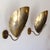 Brass Beetle™ Wall Lights by Gallery L7 For Sale - Image 8 of 11