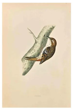 Alexander Francis Lydon, Creeper, Woodcut Print, 1870