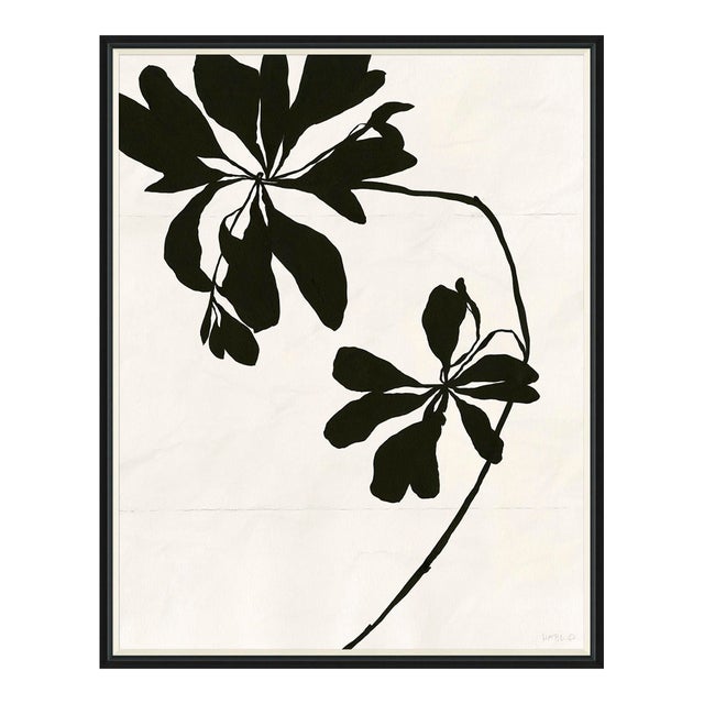 Mediterranean Leaf (var. 2) by Susan Hable, Black Frame For Sale