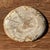 Small Oval Beige Petrified Wood Trinket Dish or Tray with Speckled Rings For Sale - Image 16 of 18