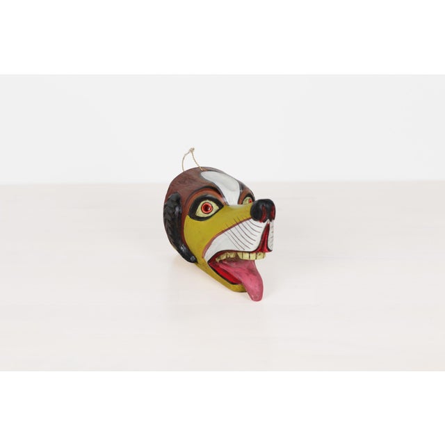 1950s Mid 20th Century Mexican Folk Art Carved Wood Dog Mask For Sale - Image 5 of 13