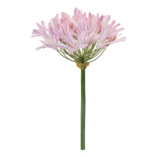 Agapanthus Flower Stem (Set of 2) For Sale