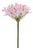 Agapanthus Flower Stem (Set of 2) For Sale