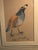 Cornflower Blue Original Vintage California Field Quail … 5 Mat Framed Sketch/Painting … Under Glass For Sale - Image 8 of 12