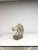 Mid-Century Modern Mid Century Marble Horse Head Bust on Marble Base For Sale - Image 3 of 10