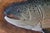 1977 Signed Carved Wood Trout Wall Sculpture, Attributed to Terry Hague For Sale - Image 10 of 18