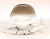 Mid 20th Century Licio Zanetti Murano Glass Snail Sculpture For Sale - Image 5 of 7