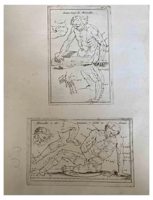 Nicholas Cochin, Anatomy Studies, Etching, 1755