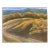 Contemporary Landscape Oil Painting "Road and Fields at Ft. Lewis" by Teresa DiMarco For Sale