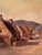 Wood Thomas Pyne, 19th Century English Coastal Landscape Painting For Sale - Image 7 of 11