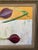 1960s Vintage Still Life Onions Oil Painting Signed For Sale - Image 4 of 13