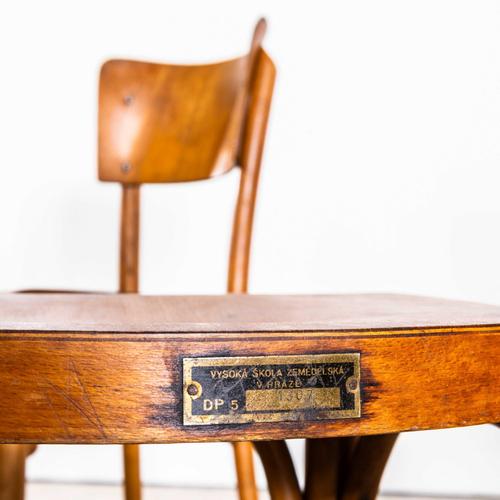 Large Honey Shield Back with Flat Curved-Edged Seat Dining Chairs from Ton, 1940s, Set of 4 For Sale - Image 4 of 11