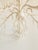 Coral Motif Five Lights Chandelier For Sale - Image 10 of 12