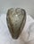 Murano Glass Cartoccio Seashell Centerpiece Bowl For Sale - Image 11 of 12