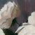 2020s Contemporary Roses III by Jon Doran | Oil on Panel Open White Roses on Grey Still Life For Sale - Image 5 of 9