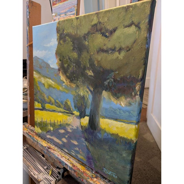 This 18x18" landscape oil painting by Paul Scaturro captures a quiet, sunlit moment along a country path—an image that...