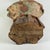 Stupendous & Charming Salvaged Antique Carved Wood Santos Mannequin Sculpture, 16" H For Sale - Image 17 of 17