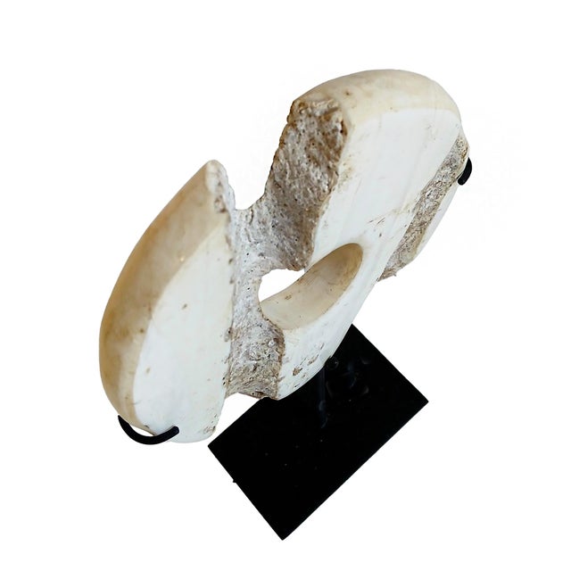 Indonesian Stone Disk For Sale - Image 16 of 17