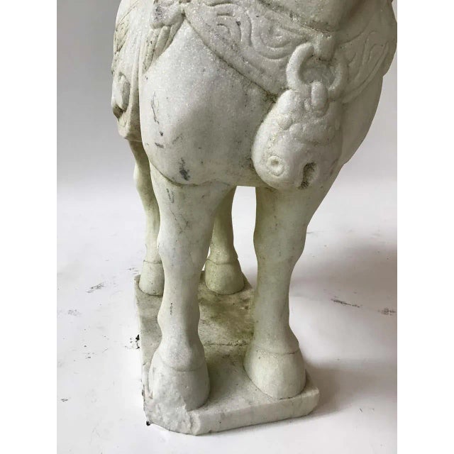 Carved Marble Asian Horses - a Pair For Sale - Image 4 of 13