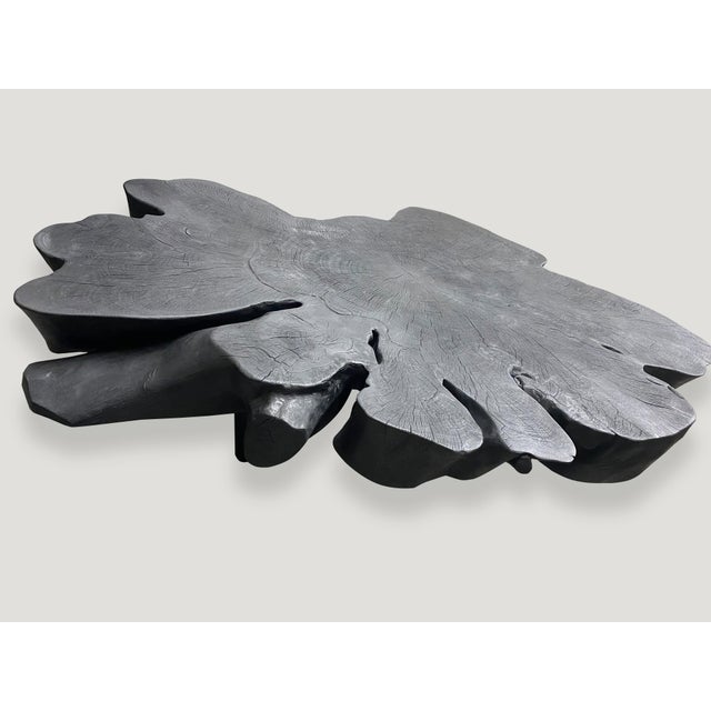 Andrianna Shamaris Biomorphic Sculptural Charred Mango Wood Coffee Table For Sale - Image 13 of 18