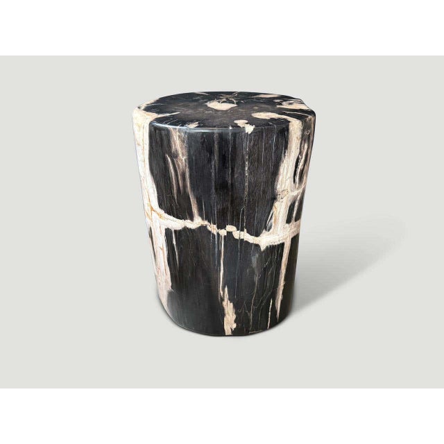 Andrianna Shamaris Exquisite Ancient Petrified Wood Side Table For Sale - Image 4 of 8
