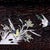 Vintage Zitan Wood Tray With Mother-of-Pearl Bird & Floral Inlay For Sale - Image 9 of 9