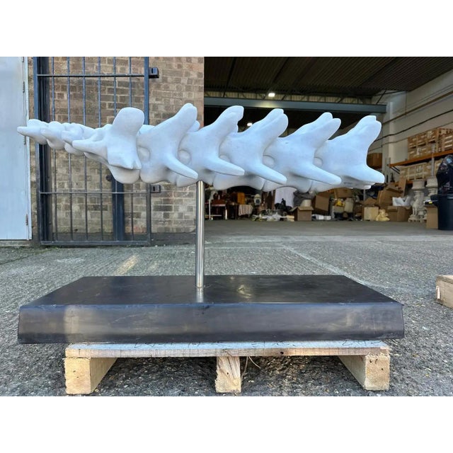 This exquisite hand-carved marble sculpture captures the intricate beauty of a canine vertebra, showcasing the skill and...