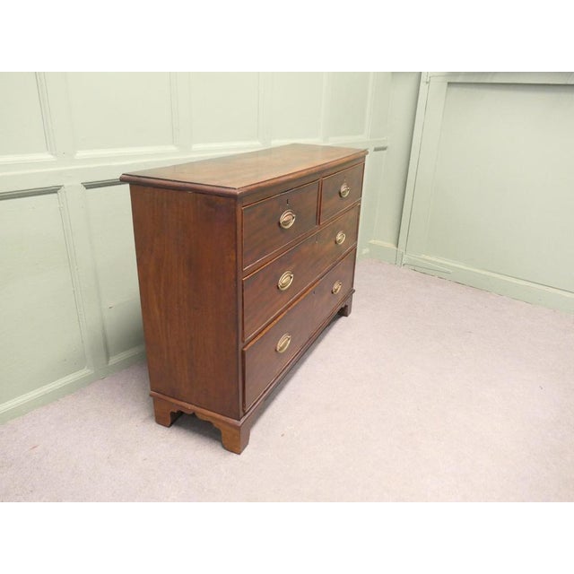 Chest of Drawers in Mahogany For Sale - Image 3 of 8
