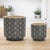 Modern Mini Floral Pattern Planter (Set of 2) For Sale - Image 3 of 5