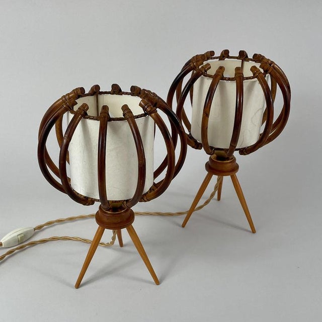 Bamboo, Birch & Parchment Tripod Table Lamps, France, 1950s, Set of 2 For Sale - Image 6 of 18