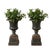 Vintage Pair Heavy Cast Iron Urns on Pedestals. Believed to Be Early 20th Century. For Sale