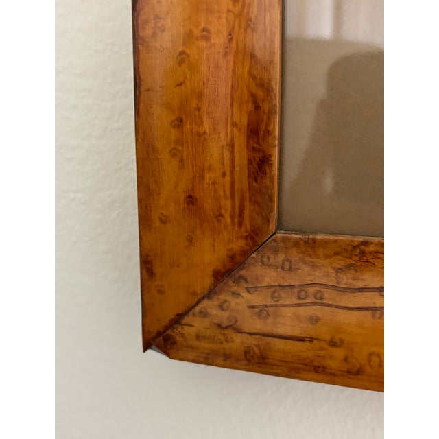 19th Century English Botanical Illustration Print in Antique Birds Eye Maple Frame (#2 of 2 Available) For Sale - Image 10 of 12