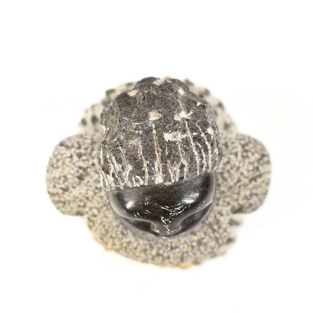 Early 20th Century Early 20th Century Shona Stone Woman Sculpture In The Style of Colleen For Sale - Image 5 of 7