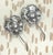 Antique Sterling salt and pepper shakers in the form of flowers. Hallmarked 'APOLLO 5617 STERLING' on both. Measures 4"...