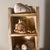 Shell Multi-Tier Stained Wood Shelf With Natural Conch and Murex Shells For Sale - Image 7 of 12