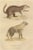 The Brown-Tailed Mongoose and the Brown Hyena, 1845, Paper For Sale - Image 6 of 6