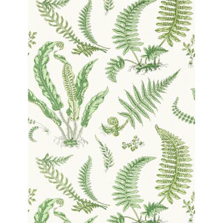 The House of Scalamandré Elsie De Wolfe Wallcovering, Fern For Sale